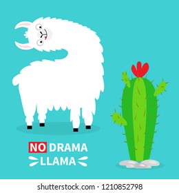 Llama alpaca turning head face, tongue. No drama. Cute cartoon funny kawaii character. Cactus. Childish baby collection. T-shirt, greeting card poster template print Flat design Blue background Vector