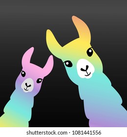 Llama Alpaca.  Vector illustration