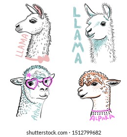 Llama, Alpaka in pink glasses. Cartoon doodle llama character vector design. Drawn llama head portrait sticker, patch badg Template. Close-up. Clip art. Hand Painting. Ink. Line art