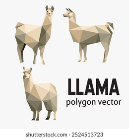 Llama Animal no vetor gráfico de ilustração poligonal. Vetor de triângulo polido baixo de Llama. Llama ilustração para crianças livros