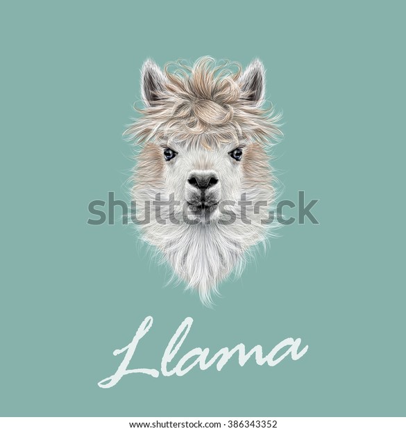 ラマの動物のポートレート 青の背景にラマまたはアルパカのベクター画像イラストポートレート のベクター画像素材 ロイヤリティフリー