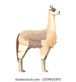 llama animal vector icon isolated