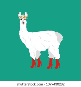 Llama in boots