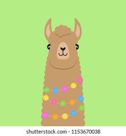 Llama, brown fluffy alpaca vector graphic illustration, isolated on green background. Llama head with colorful pom poms around neck.