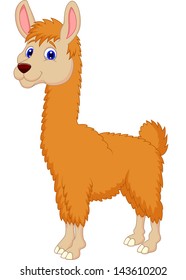 Llama cartoon