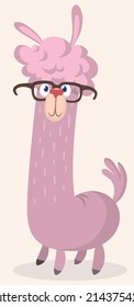 Llama cartoon alpaca. Lama animal wearing eyeglasses vector isolated illustration