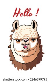 Llama cartoon alpaca. Lama animal vector isolated illustration. Cute funny digital art. Design for card, sticker , fabric textile, t shirt. Children, kid modern trendy style. Hello alpaca