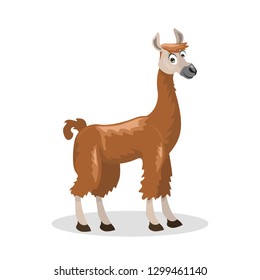 llama cartoon vector illustration