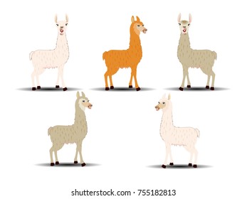 Llama - Cartoon Vector Image Collection