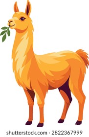llama chewing leaves, three-quarter view, full body, herbivore, vector illustration