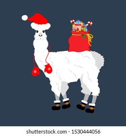 Llama in Christmas costume illustration on the blue background. Vector illustration