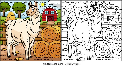 Llama Coloring Page Colored Illustration