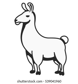 Llama cute Alpaca vector camelid black white