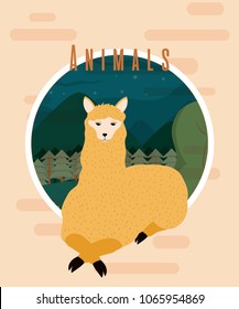 Llama cute animal card