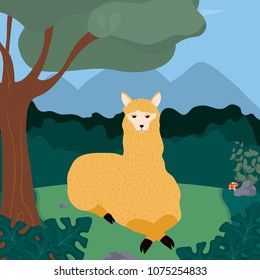 Llama cute animals cartoons