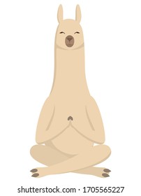 Llama doing yoga. Cute animal in cartoon style.