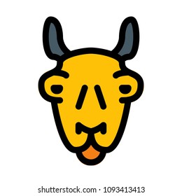 Llama domesticated camelid