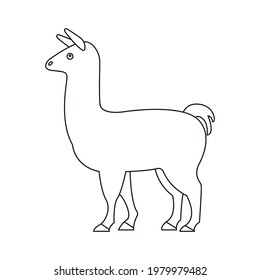 Llama drawing line icon vector symbol
