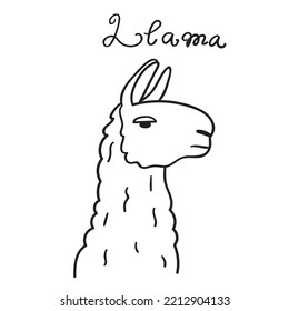 Llama Face. Graphic Design. Outline Vector Icon. 