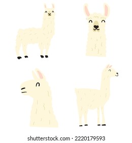 Llama. Flat illustrations on white background.