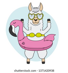 Llama with float and swimsuit