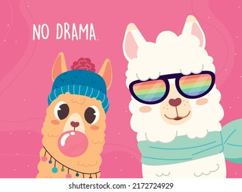 llama funny cartoon poster design