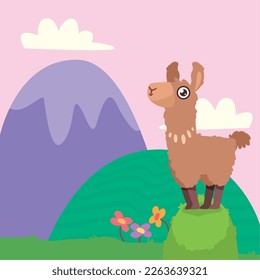 llama in the garden scene