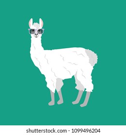 Llama in glasses illustration on the green background. Vector illustration