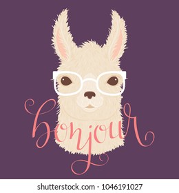 Llama in glasses vector illustration. Hand lettering "bonjour" in French