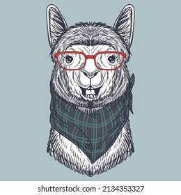 Llama hand drawn wearing a red glasses and neck bandana for your company or brand