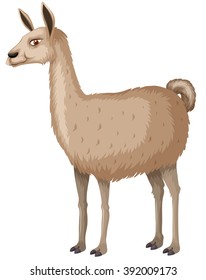 Llama with happy face illustration