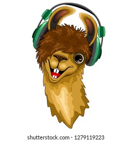 Llama Happy Music Dude with Headphones Vector illustration