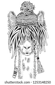 Llama with hat. Coloring Book page for Adult and children. Black and white. Doodle hand-drawn lama.