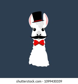 Llama in hat illustration