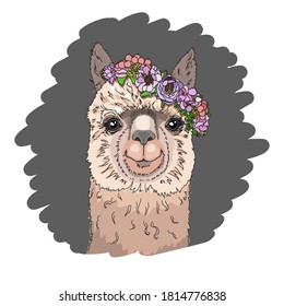 Llama Head In A Floral Wreath. Funny Cute Animal. Vector Drawing.