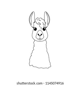 Llama head illustration