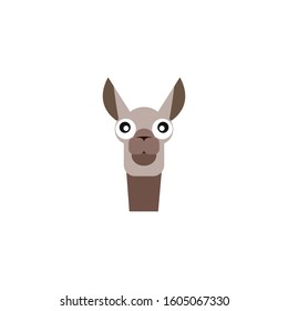 Llama head vector design template. Llama face logo icon.