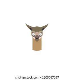 Llama head vector design template. Llama face logo icon.