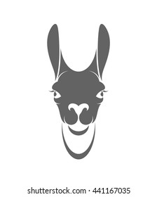 Llama head. Wild animal. Vector illustration