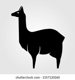Llama icon isolated on white background. Vector illustration