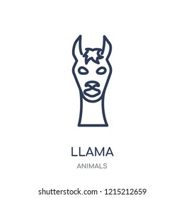 Llama icon. Llama linear symbol design from Animals collection. Simple outline element vector illustration on white background.