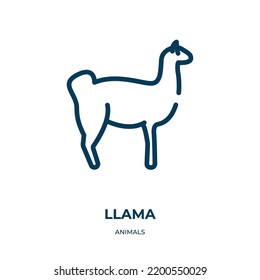 Llama icon. Linear vector illustration from animals collection. Outline llama icon vector. Thin line symbol for use on web and mobile apps, logo, print media.