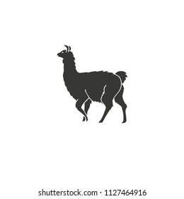 Llama icon, vector,isolated