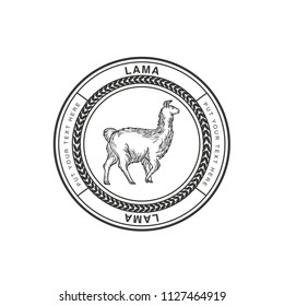 Llama icon, vector,isolated