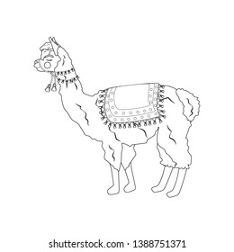 Llama illustration outline on the white background. Vector illustration