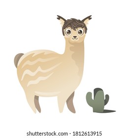 Llama. Isolated vector. Cute smiling llama. Looks at you. Young alpaca baby. Striped and funny. Image for books and clothes. Big sincere eyes. Kind alpaca. Chubby baby