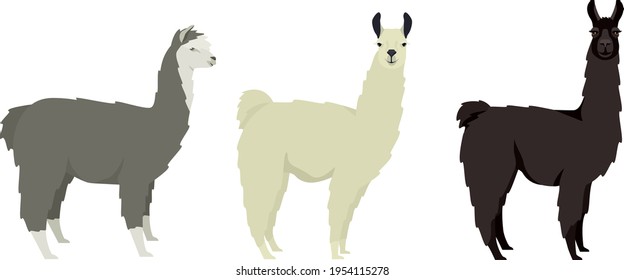 llama Lama glama Flat vector illustrations Isolated objects set