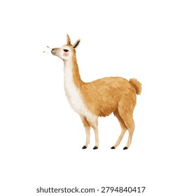 Llama with light brown fur standing