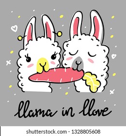 Llama in llove quote. Llama motivational and inspirational vector poster. Simple cute white llamas eating carrot drawing with lettering. Llama in love quote. Vector illustration