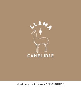 llama logo icon. llama are animals with the family camelidae. this artwork is a technical hand drawing